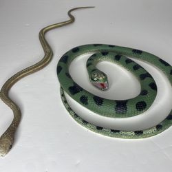 Snake Toys