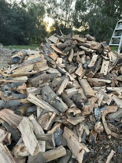 Seasoned AVOCADO WOOD READY TO 🔥🥑