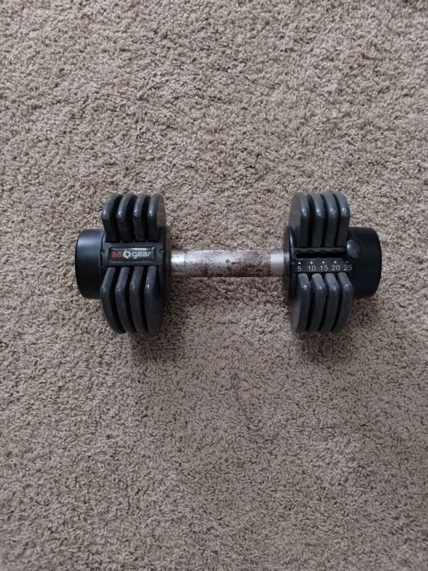 25lbs Dumbbell