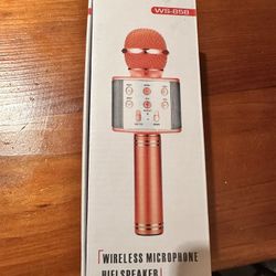 Microphone. Speaker. Karaoke