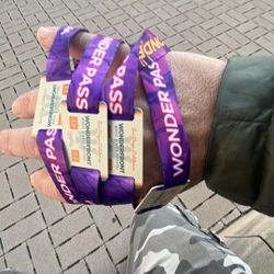 Wonderfront music festival wonder/Vip Passes