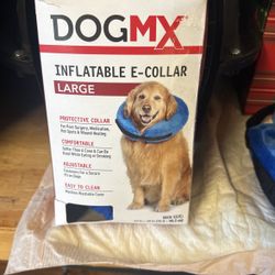  flammable E-collar 