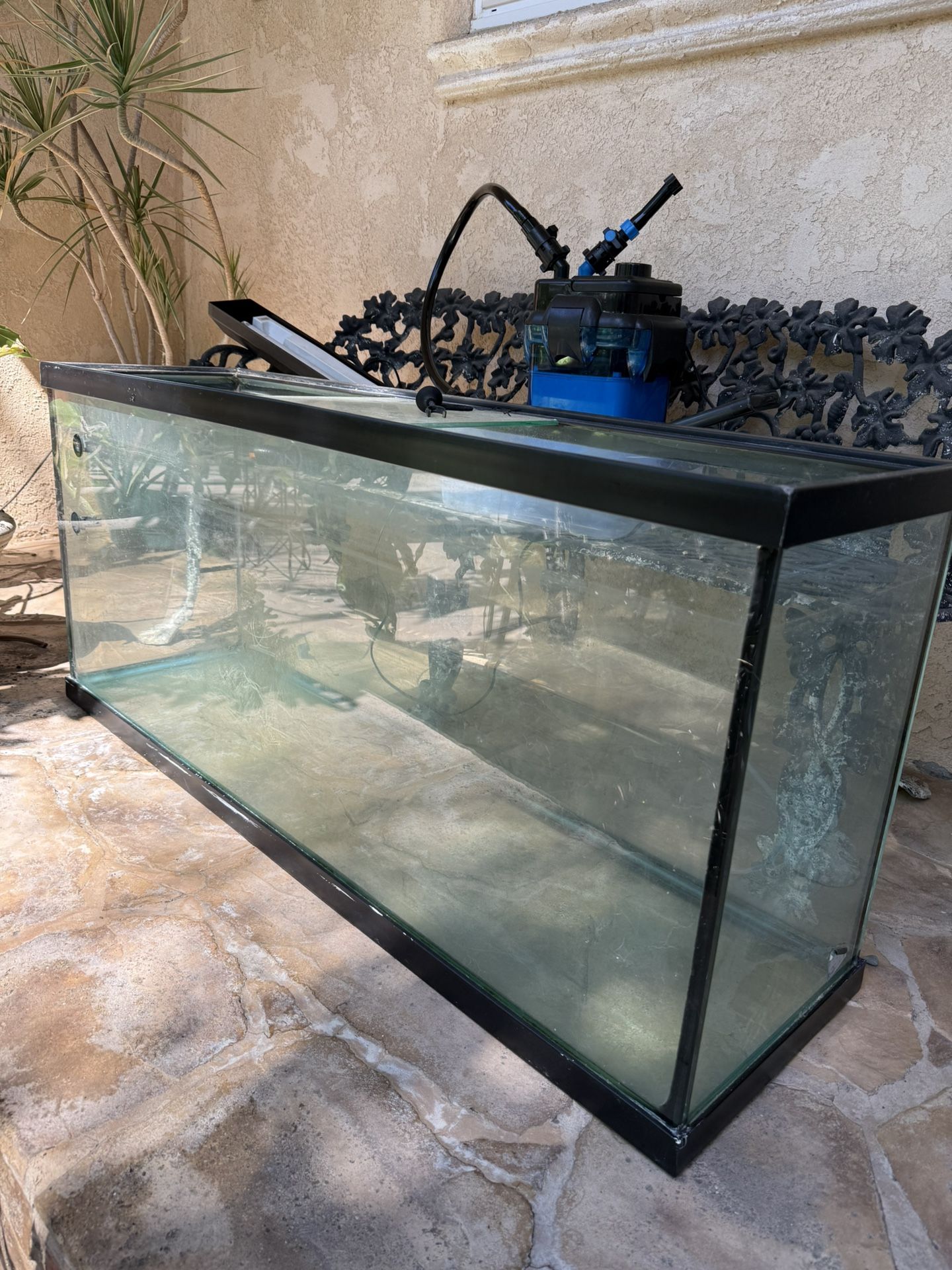 55 Gallon Fish Tank