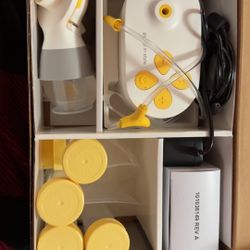 Medela Pump In Style