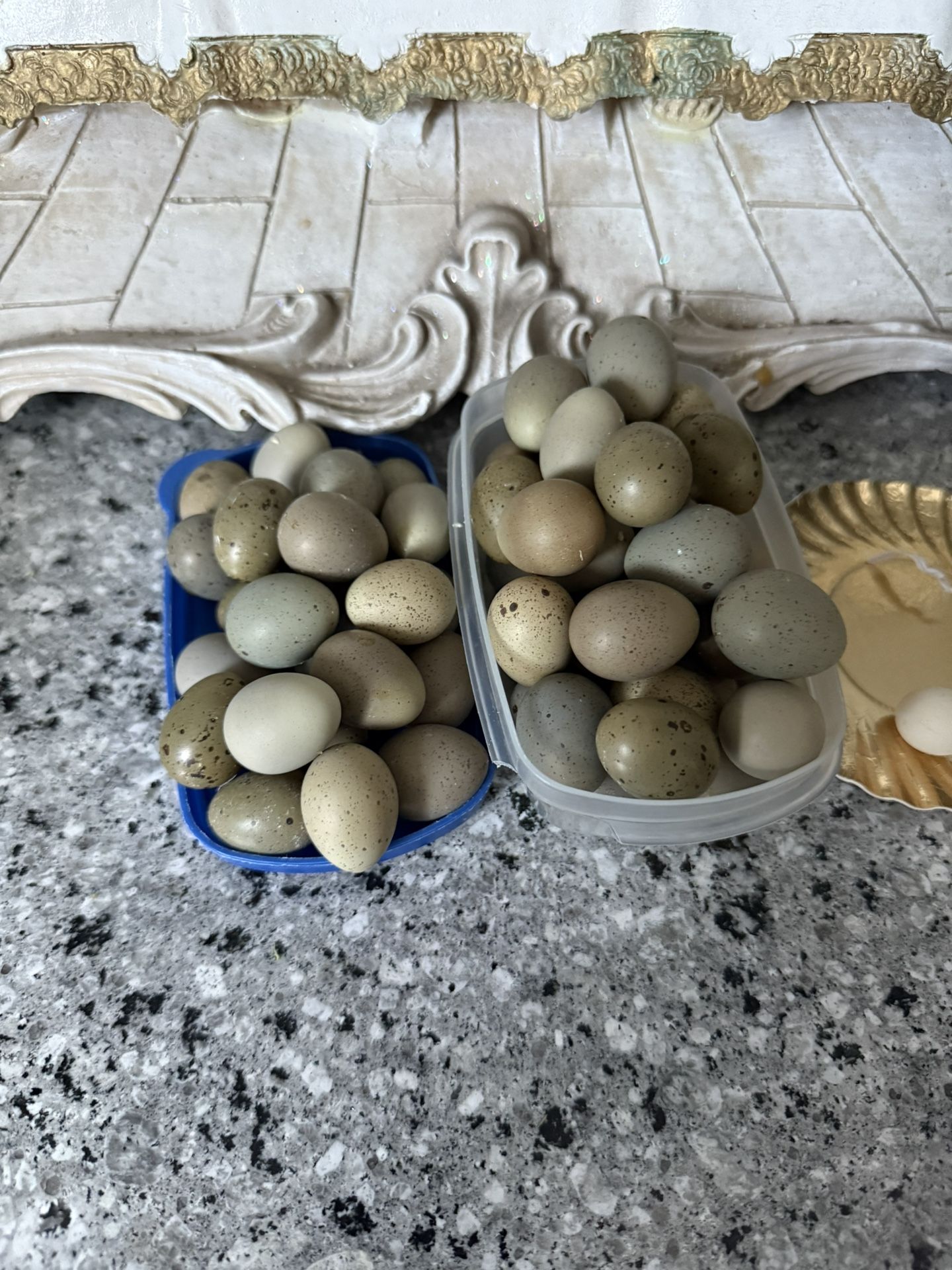 Button Quail Eggs