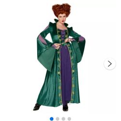 Hocus Pocus Winifred Costume Size L