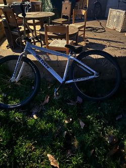 Se bike big flyer