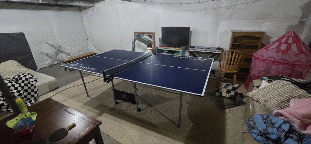 Ping Pong Table