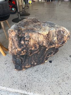 Large Raw Wood Burl Block