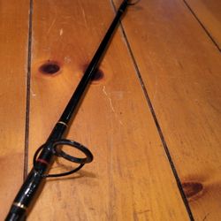 Penn Spinfisher Rod 