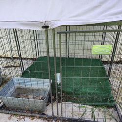 Large Dog CRATE 