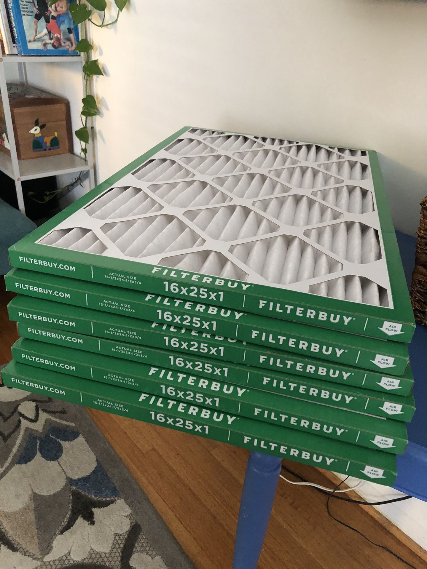 Filterbuy Indoor AC Filters