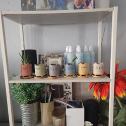 6 Piece Plant Holders