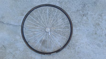 Assos 24" TT Wheel