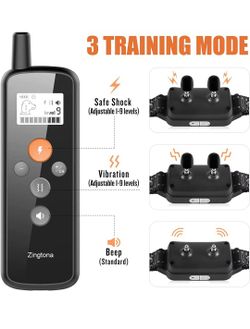 Dog Training Collar