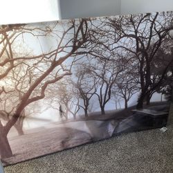 Picture,large Scenery