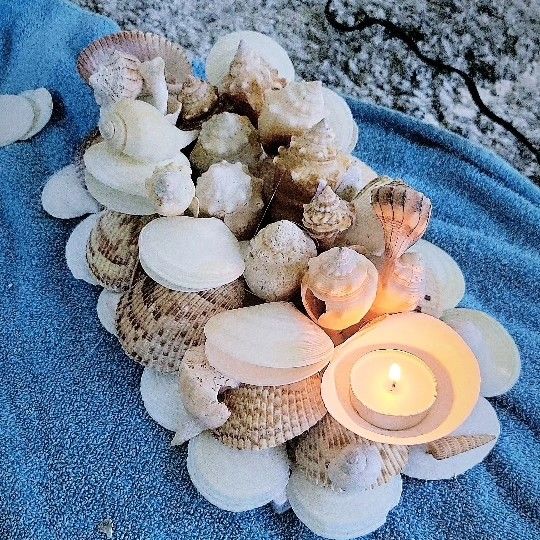 Seashell Candle