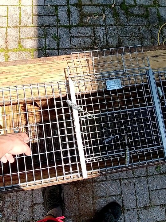 Animal Pen