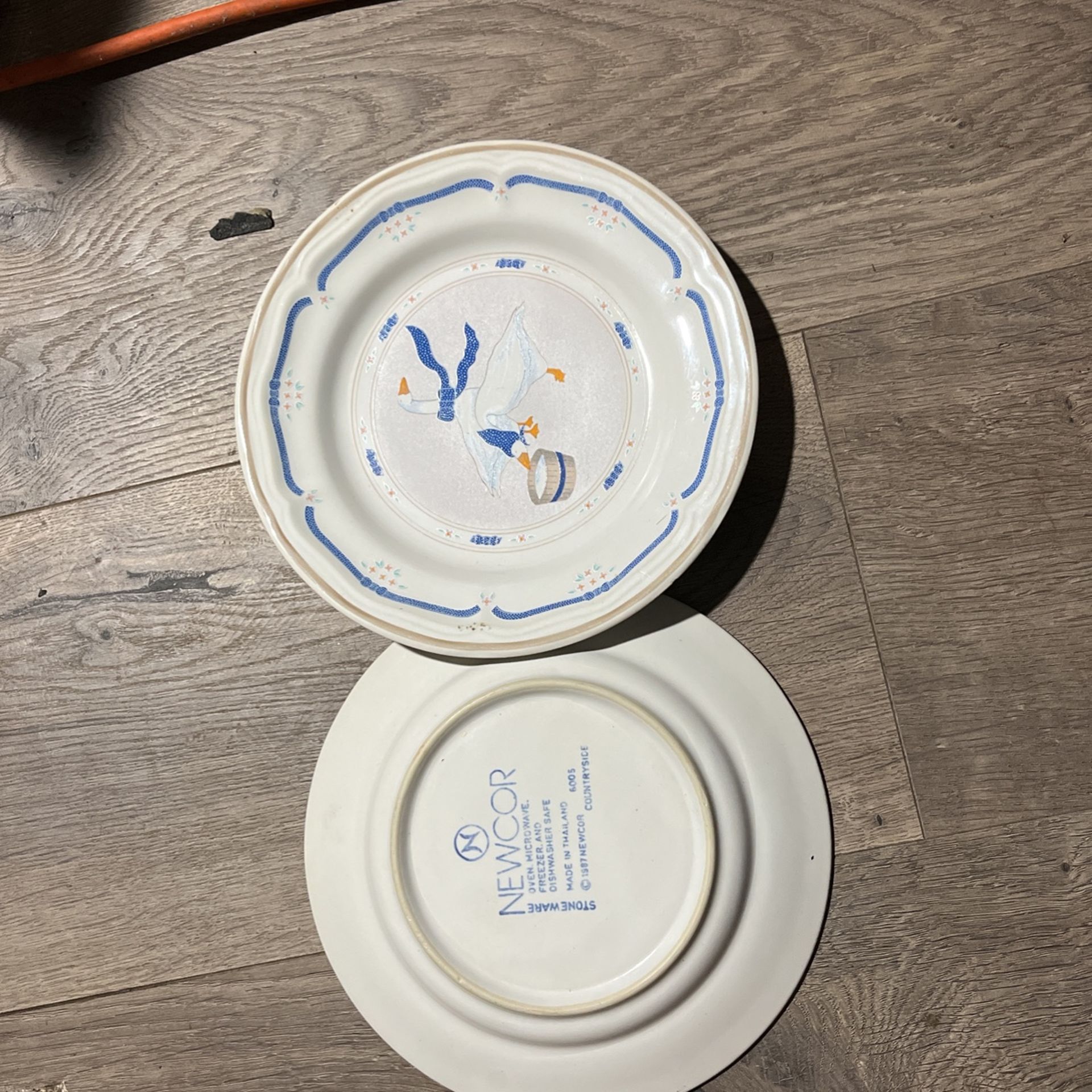 2 Countryside Salad Plates