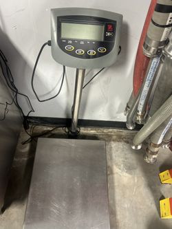 Ohaus Champ II CD-11 Stainless Scale