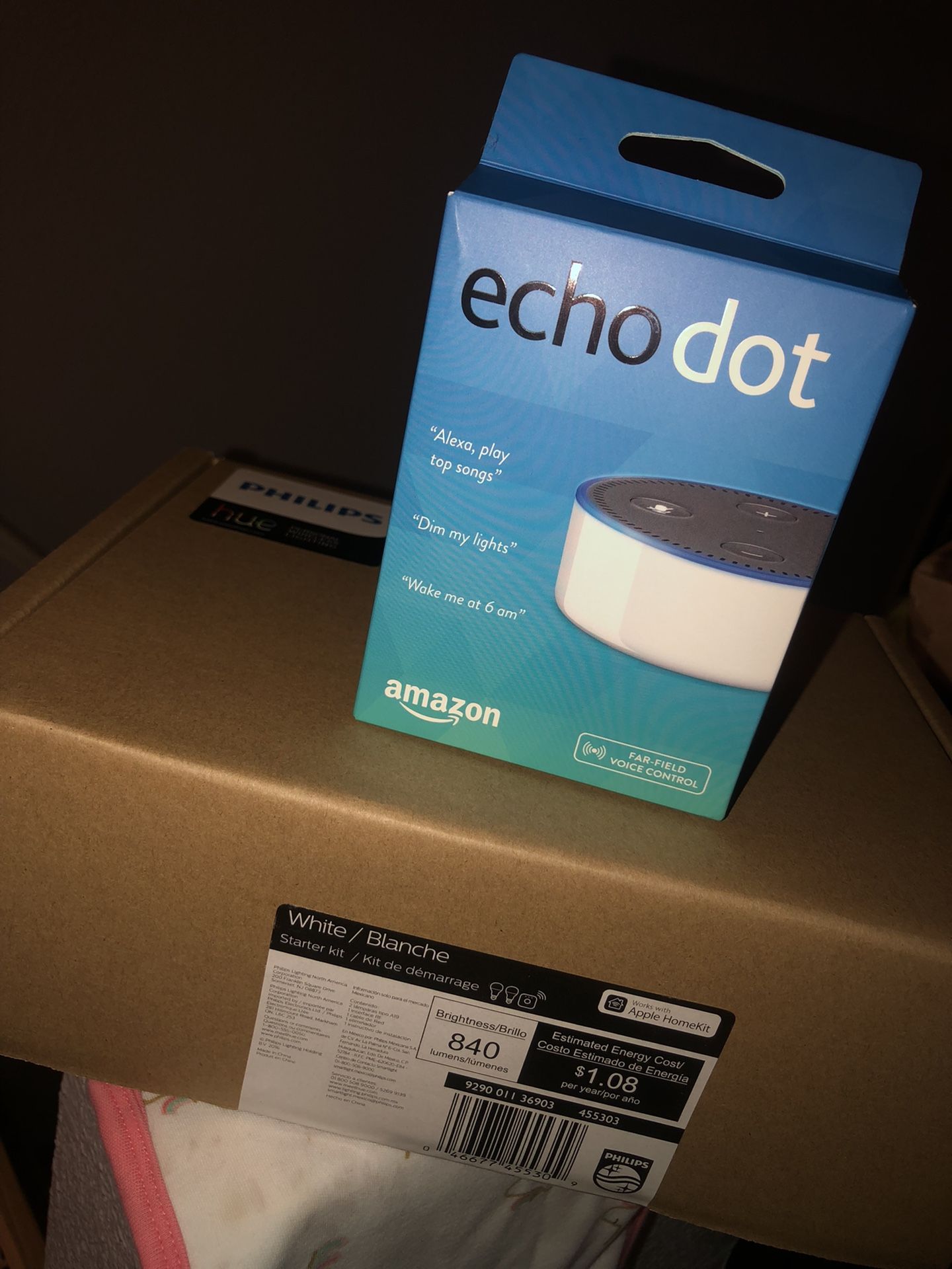Echo Dot And Phillips Hue