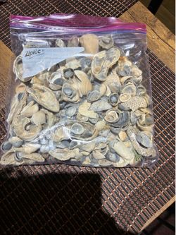 Bag of Shells