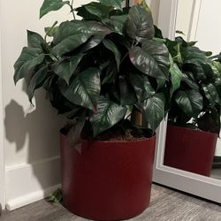 Faux Plants