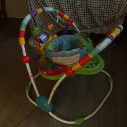 Large Bouncy Seat