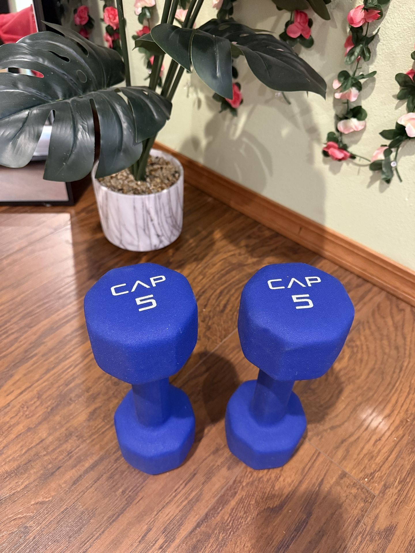 5lb Dumbells