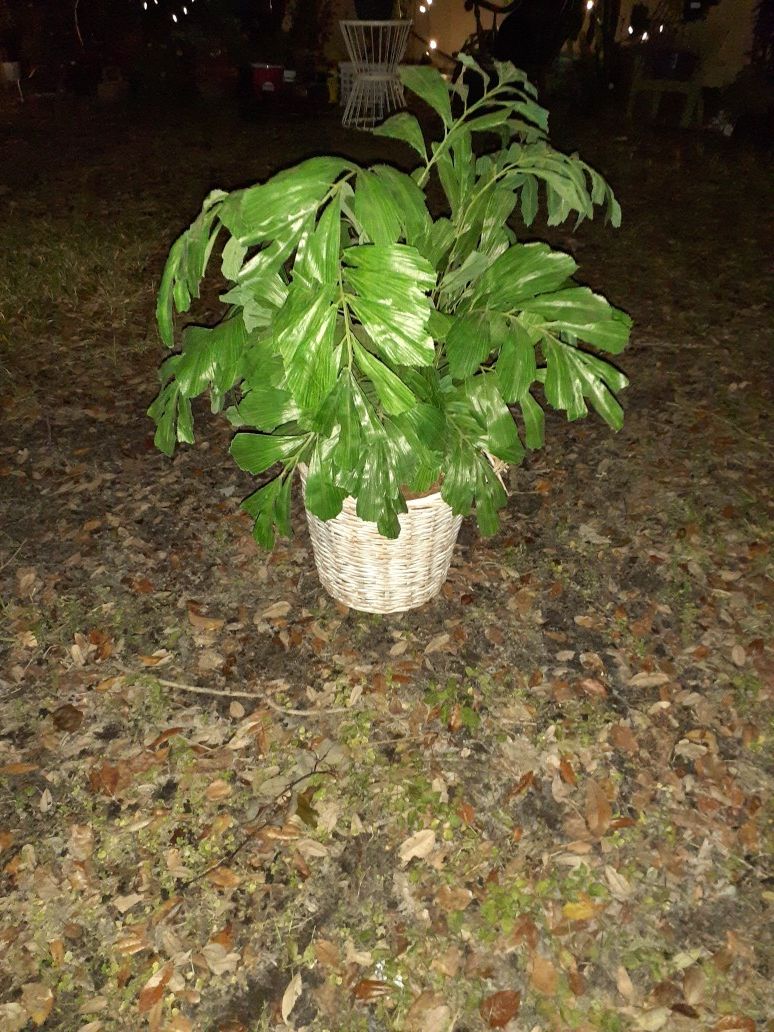 Indoor fake plant with wicker basket