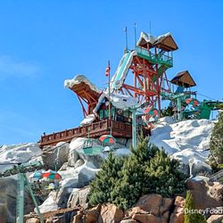 DISNEY WATER PARK TICKETS