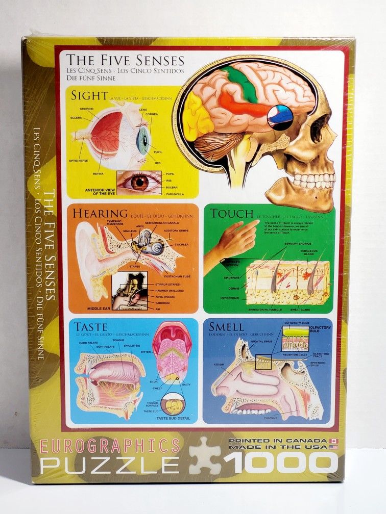 Brand New Sealed 2012 EuroGraphics 1000-piece "THE FIVE SENSES" Jigsaw Puzzle. The image shows a EuroGraphics 1000-piece jigsaw puzzle titled "The Fiv