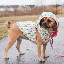Lucy & Co. pink pinaples reversible dog raincoat (new)