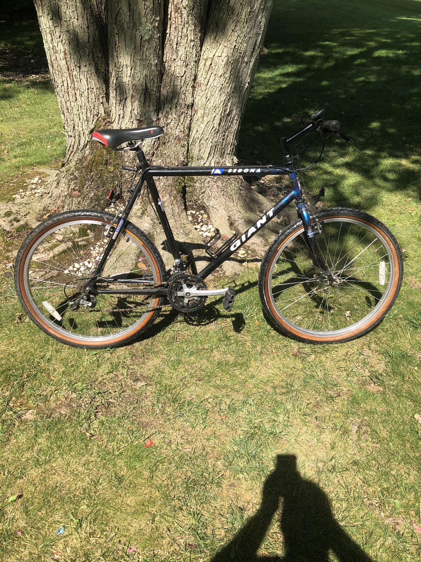 26” Giant Mountain Bike (xl Frame)