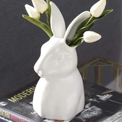 Bunny 