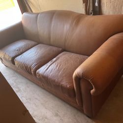 Arizona Leather Couch