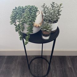 Indoor And Outdoor Decor Plants And End Table 