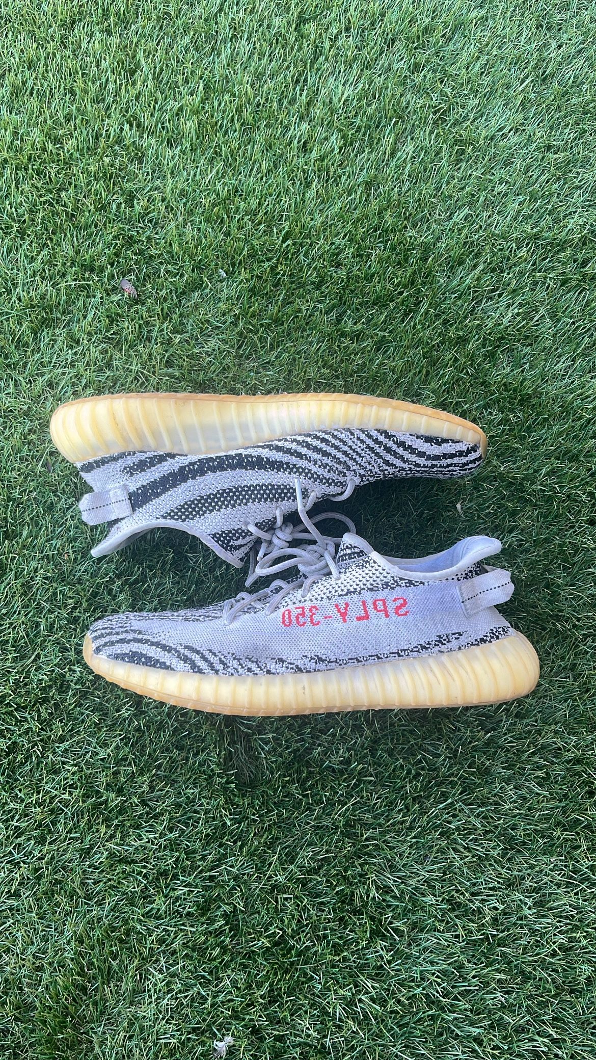 Used Adidas Yeezy Boost 350 V2 “Zebra” – Size [13] – Good Condition