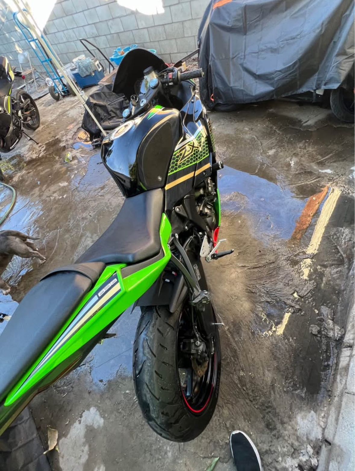 2023 Kawasaki ZX6R