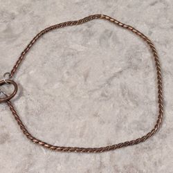 Metal Dog Collar, Slip Style