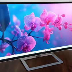Dell 32 Inch Full HD IPS LCD / LED Computer Monitor 