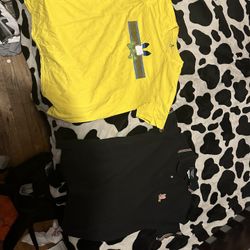 Two Psycho Bunny Shirts  Size L And M 