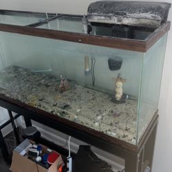 55’ Tank For Sale FCFS 