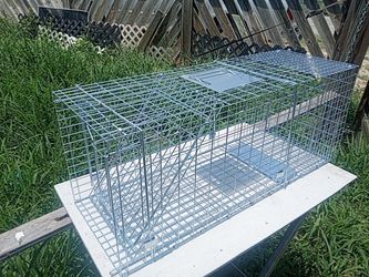 Animal Trap