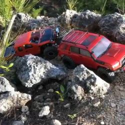 Team Associated Trail Runner 