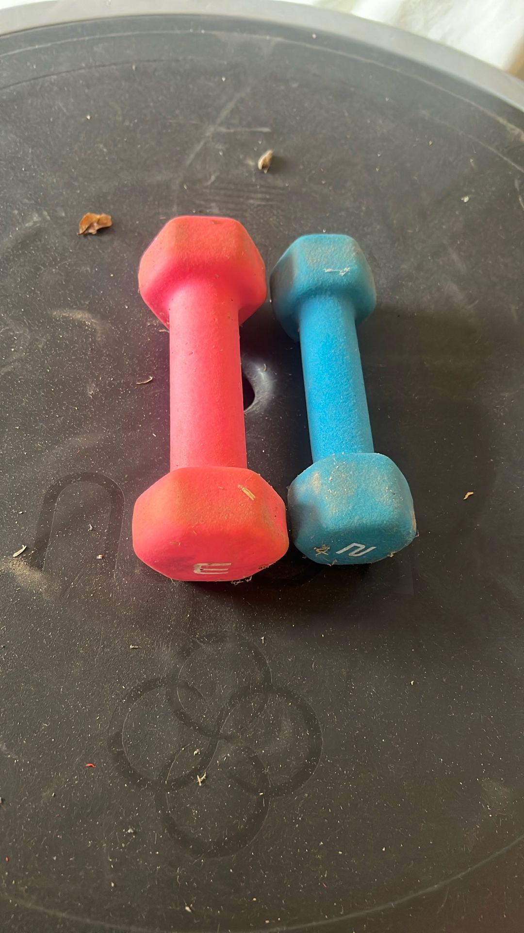 2 & 3 Lb Dumbbells