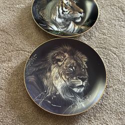 Plate collection