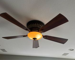 Ceiling Fan with lights