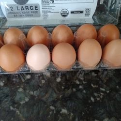 Organic Brown Eggs.Fresh