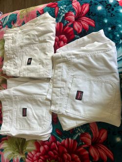 Painters pants